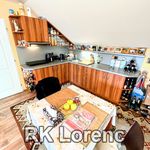 Rent 1 bedroom apartment of 43 m² in Brno