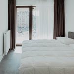  appartement avec 2 chambre(s) en location à Antwerpen