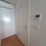 Rent 2 bedroom apartment of 72 m² in Porto