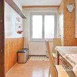 Rent 1 bedroom apartment of 90 m² in Brno