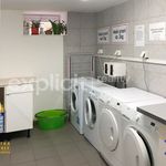 Rent 1 bedroom apartment of 24 m² in Zlín