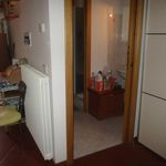 Affitto 1 camera appartamento di 40 m² in Faenza