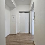 Pronajměte si 1 ložnic/e byt o rozloze 30 m² v Horní Jelení