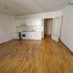 Rent 2 bedroom apartment of 44 m² in Wien