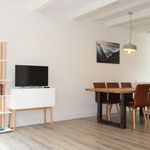 Rent 2 bedroom apartment of 60 m² in Amsterdam