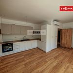 Rent 2 bedroom apartment of 47 m² in Zlín