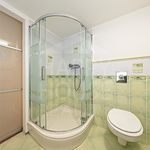 Rent 6 bedroom house of 230 m² in Praha