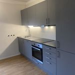 Rent 4 bedroom apartment of 65 m² in Oslo