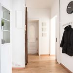 Rent 4 bedroom apartment in Torino