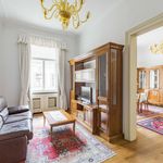 Rent 1 bedroom apartment of 114 m² in Praha