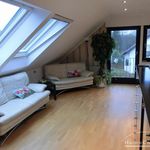 Rent 2 bedroom apartment of 60 m² in Troisdorf