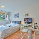 Rent 1 bedroom apartment of 26 m² in Ruvigliana