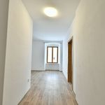 Rent 3 bedroom apartment of 85 m² in Opocno