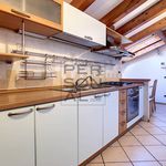 Rent 2 bedroom apartment of 55 m² in Trento