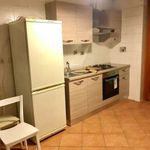Rent 5 bedroom apartment of 110 m² in Rome