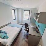 Rent 1 bedroom student apartment of 27 m² in Swansea