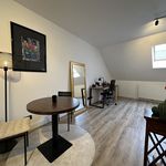 Rent 1 bedroom apartment of 63 m² in Maastricht