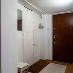 Rent 3 bedroom apartment of 73 m² in Łódź