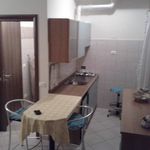 Rent 1 bedroom apartment of 45 m² in Faenza