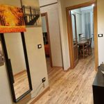 Rent 3 bedroom apartment of 70 m² in Parma