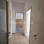 Rent 3 bedroom apartment of 73 m² in Pomezia