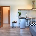 Rent 1 bedroom apartment of 22 m² in Praha