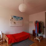Rent a room of 120 m² in Praha