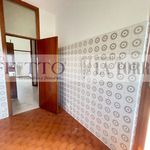 Rent 4 bedroom apartment of 80 m² in Alessandria