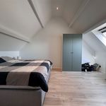 Huur 3 slaapkamer huis in Wetteren