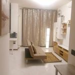 Rent 2 bedroom apartment of 55 m² in bologna