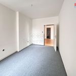 Rent 3 bedroom apartment of 51 m² in Děčín