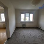 Rent 1 bedroom apartment of 67 m² in Beroun