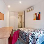 Rent 7 bedroom apartment in Alicante