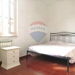 Rent 2 bedroom apartment of 50 m² in Massa