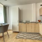 Rent 1 bedroom apartment of 29 m² in Warszawa