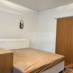 Rent 1 bedroom apartment of 36 m² in Jáchymov