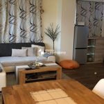 Rent 3 bedroom apartment of 70 m² in Schlitters