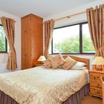 12 bedroom apartment in Galway
