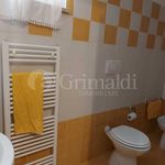 Rent 1 bedroom house of 50 m² in Anzio