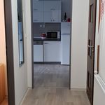 Rent 1 bedroom apartment of 39 m² in Kamenický Šenov