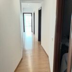 Rent 2 bedroom apartment of 117 m² in San Pedro de Alcántara