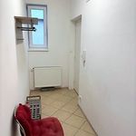 Rent 1 bedroom apartment of 20 m² in Brno