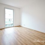 Rent 1 bedroom apartment of 49 m² in Brno