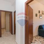 Rent 7 bedroom apartment of 163 m² in Siracusa