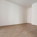 Rent 2 bedroom apartment of 63 m² in Oschatz