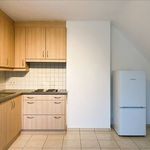 Rent 1 bedroom apartment in Zoersel