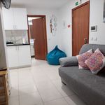 Rent 2 bedroom apartment of 48 m² in Funchal