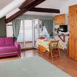 Rent 1 bedroom house of 40 m² in Dormelletto