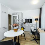 Rent 1 bedroom apartment of 27 m² in Prague