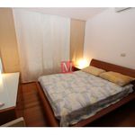 Rent 3 bedroom apartment of 100 m² in Zagreb
